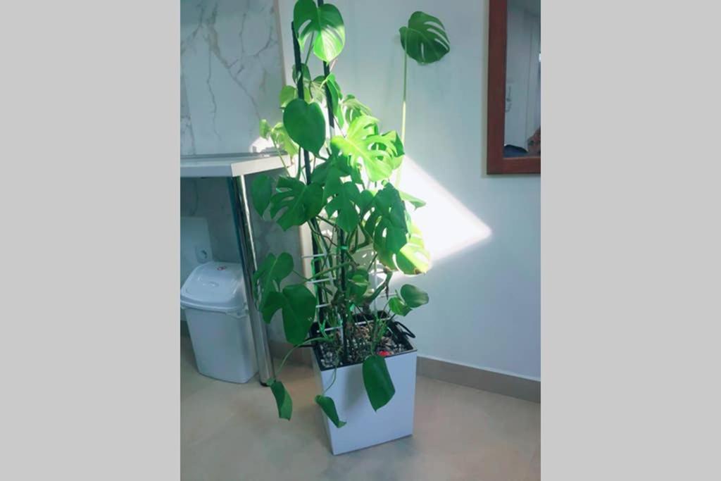 Apartman Santorini Νόβι Σαντ Εξωτερικό φωτογραφία